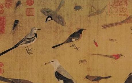 花鸟画法